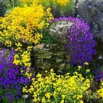 Romantische Mit Weitlaeufigem Garten By Interhome * Cubanici