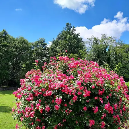 Romantische Mit Weitlaeufigem Garten By Interhome Ferienhaus *