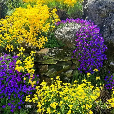 Romantische Mit Weitlaeufigem Garten By Interhome * Cubanici