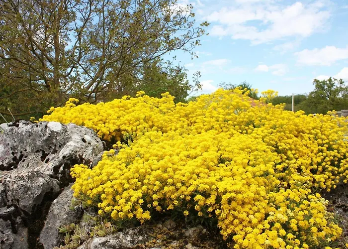 Romantische Mit Weitlaeufigem Garten By Interhome Vikendica