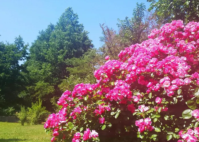 Vikendica Romantische Mit Weitlaeufigem Garten By Interhome