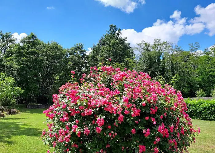 Romantische Mit Weitlaeufigem Garten By Interhome Vikendica *