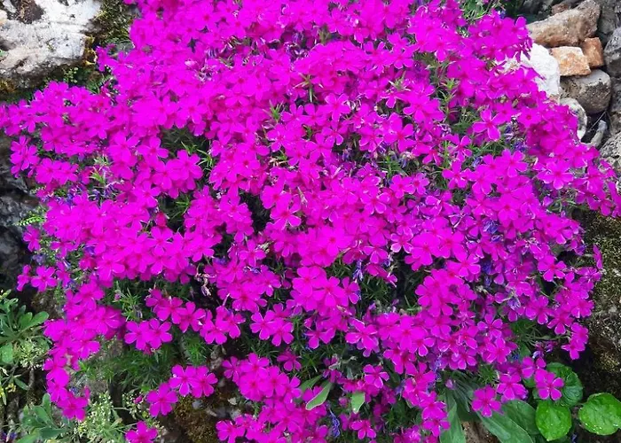 Vikendica Romantische Mit Weitlaeufigem Garten By Interhome *