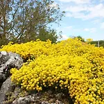 Romantische Mit Weitlaeufigem Garten By Interhome 別荘