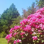 別荘 Romantische Mit Weitlaeufigem Garten By Interhome