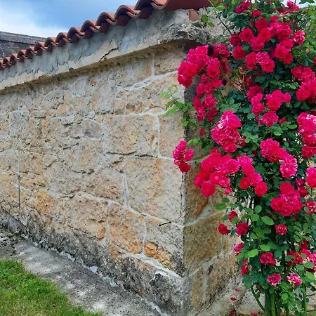 Romantische Mit Weitlaeufigem Garten By Interhome * Cubanici
